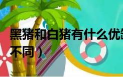 黑猪和白猪有什么优缺点（黑猪和白猪有什么不同）