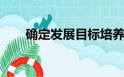 确定发展目标培养联系人的调查意见