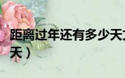 距离过年还有多少天文案（距离过年还有多少天）