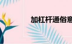 加杠杆通俗意思（加杠杆）