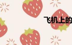 飞机上的空中小姐