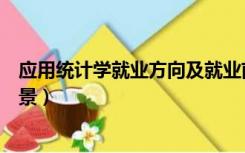 应用统计学就业方向及就业前景（应用统计学就业方向及前景）