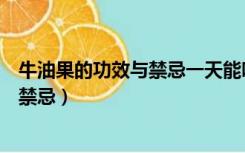 牛油果的功效与禁忌一天能吃多少比较好（牛油果的功效与禁忌）