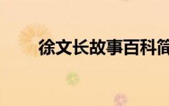 徐文长故事百科简介（徐文长故事）