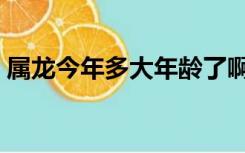 属龙今年多大年龄了啊（属龙今年多大岁数）