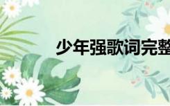 少年强歌词完整（少年强歌词）