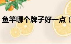鱼竿哪个牌子好一点（鱼竿哪个牌子质量好）