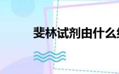 斐林试剂由什么组成（斐林试剂）