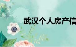 武汉个人房产信息在线查询平台