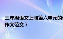 三年级语文上册第六单元的作文（三年级上册语文第六单元作文范文）