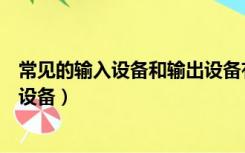 常见的输入设备和输出设备有什么（常见的输入设备和输出设备）