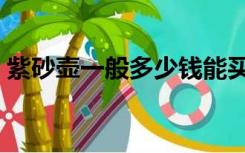 紫砂壶一般多少钱能买（紫砂壶一般多少钱）