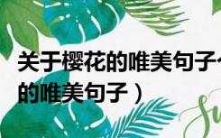 关于樱花的唯美句子个性签名赏析（关于樱花的唯美句子）