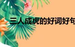 三人成虎的好词好句（三人成虎的故事）