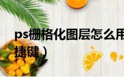 ps栅格化图层怎么用不了（ps栅格化图层快捷键）