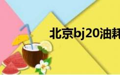 北京bj20油耗（北京bj20）