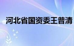 河北省国资委王普清（河北省国资委官网）