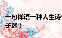 一句禅语一种人生诗句（一句禅语一种人生句子迷）