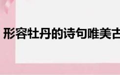 形容牡丹的诗句唯美古诗（形容牡丹的诗句）