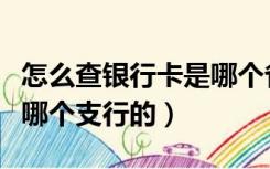 怎么查银行卡是哪个省份的（怎么查银行卡是哪个支行的）