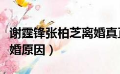 谢霆锋张柏芝离婚真正原因（谢霆锋张柏芝离婚原因）