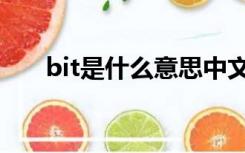 bit是什么意思中文（bit是什么意思）