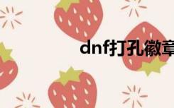 dnf打孔徽章（dnf打孔）