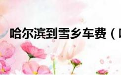 哈尔滨到雪乡车费（哈尔滨到雪乡的交通）