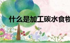 什么是加工碳水食物（什么是加工贸易）