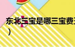 东北三宝是哪三宝费玉清（东北三宝是哪三宝）
