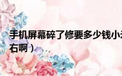 手机屏幕碎了修要多少钱小米（手机屏幕碎了修要多少钱左右啊）