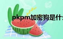 pkpm加密狗是什么（pkpm加密狗）