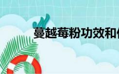 蔓越莓粉功效和作用（蔓越莓粉）