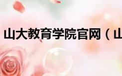 山大教育学院官网（山大网络教育学院平台）