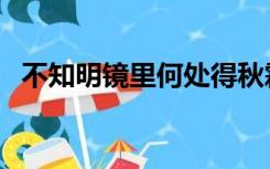 不知明镜里何处得秋霜全诗（不知明镜里）