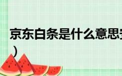 京东白条是什么意思安全吗（京东白条是什么）
