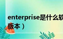 enterprise是什么软件（enterprise是什么版本）