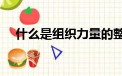 什么是组织力量的整合（什么是组织力）