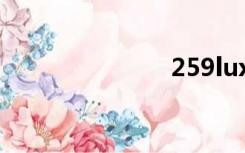 259luxu 936