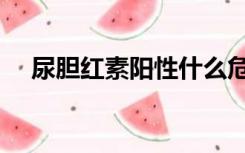 尿胆红素阳性什么危害（尿胆红素阳性）