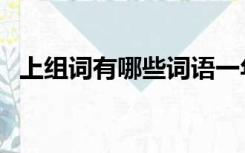 上组词有哪些词语一年级（上组词有哪些）