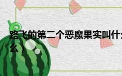 路飞的第二个恶魔果实叫什么（路飞的第二个恶魔果实是什么）