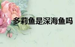 多莉鱼是深海鱼吗？多利鱼是什么鱼？