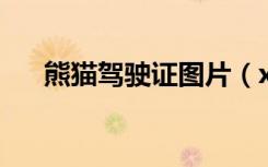熊猫驾驶证图片（xiongmaojiasuqi）