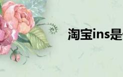 淘宝ins是什么意思？