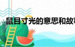 鼠目寸光的意思和故事（鼠目寸光的意思）
