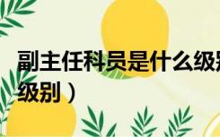 副主任科员是什么级别啊（副主任科员是什么级别）