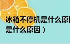 冰箱不停机是什么原因怎么处理（冰箱不停机是什么原因）