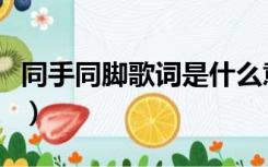 同手同脚歌词是什么意思（同手同脚歌曲背景）