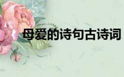 母爱的诗句古诗词（母爱的诗句古诗）
